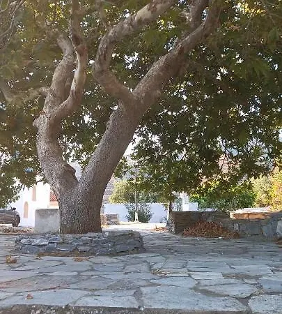 Apartment Dk Square Andros Town
